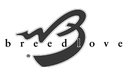 Breedlove Authorized Dealer